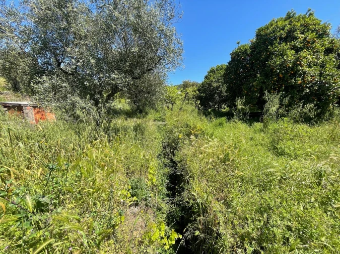 Moradia T3 para Venda em Vila Velha de Rodão Foto 127