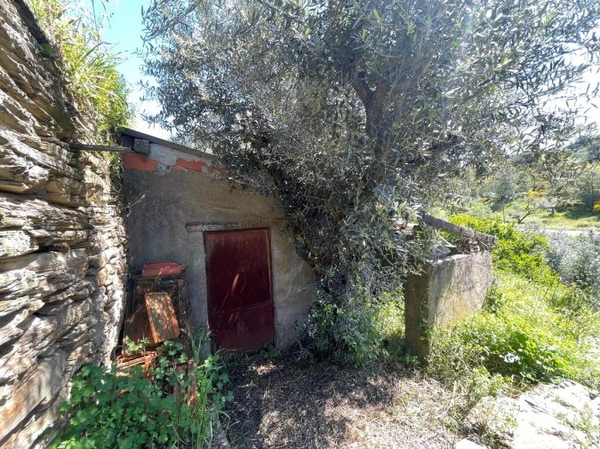 Moradia T3 para Venda em Vila Velha de Rodão Foto 99