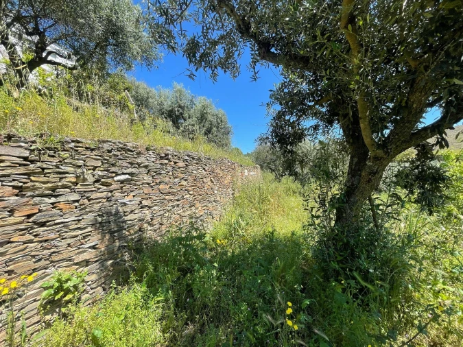 Moradia T3 para Venda em Vila Velha de Rodão Foto 108