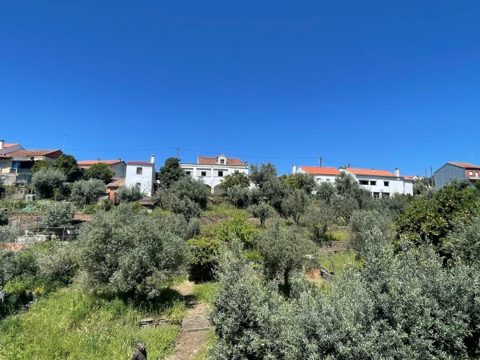 Moradia T3 para Venda em Vila Velha de Rodão Foto 93