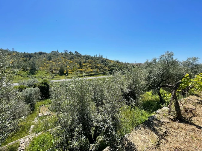 Moradia T3 para Venda em Vila Velha de Rodão Foto 91