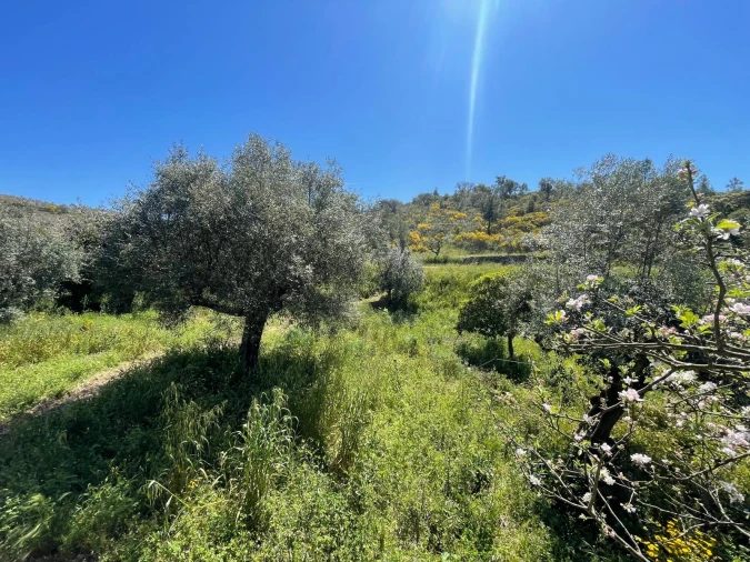 Moradia T3 para Venda em Vila Velha de Rodão Foto 96