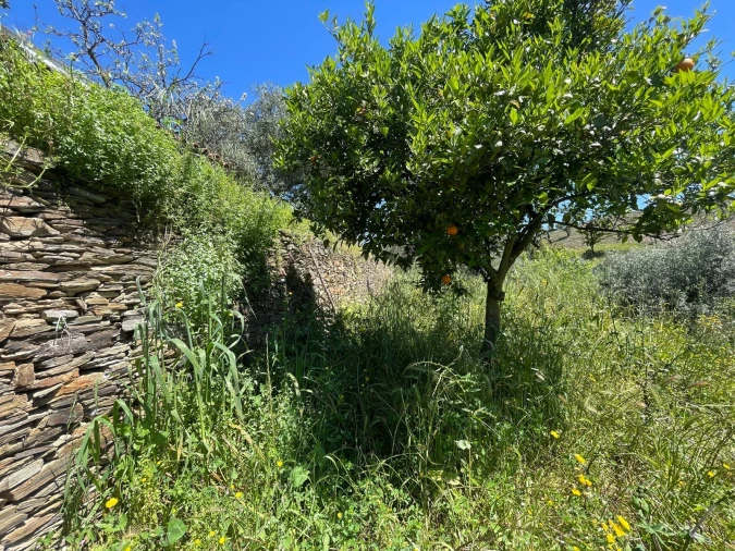 Moradia T3 para Venda em Vila Velha de Rodão Foto 125