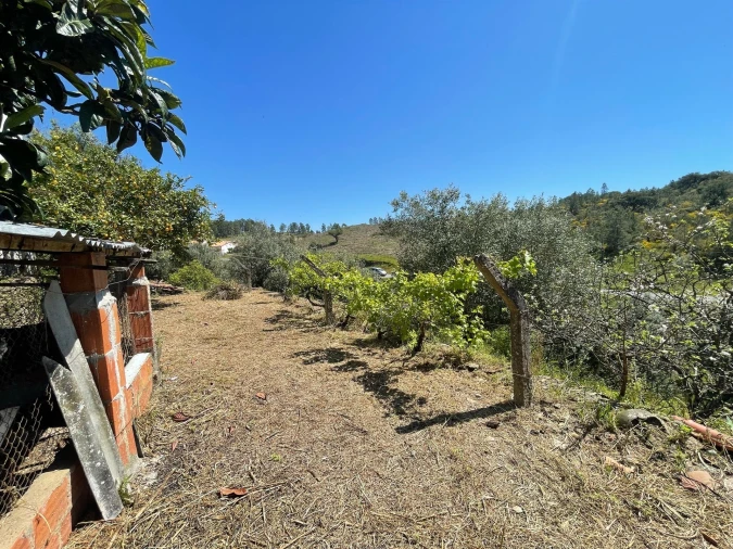 Moradia T3 para Venda em Vila Velha de Rodão Foto 116