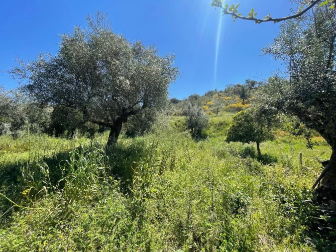 Moradia T3 para Venda em Vila Velha de Rodão Foto 89