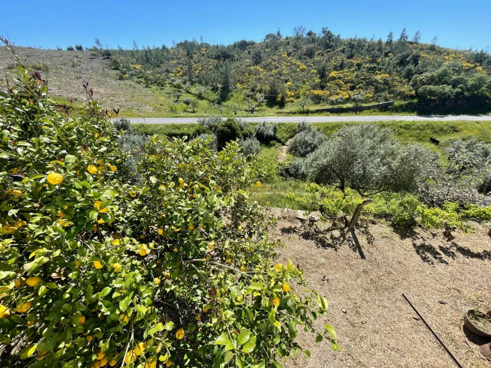 Moradia T3 para Venda em Vila Velha de Rodão Foto 17