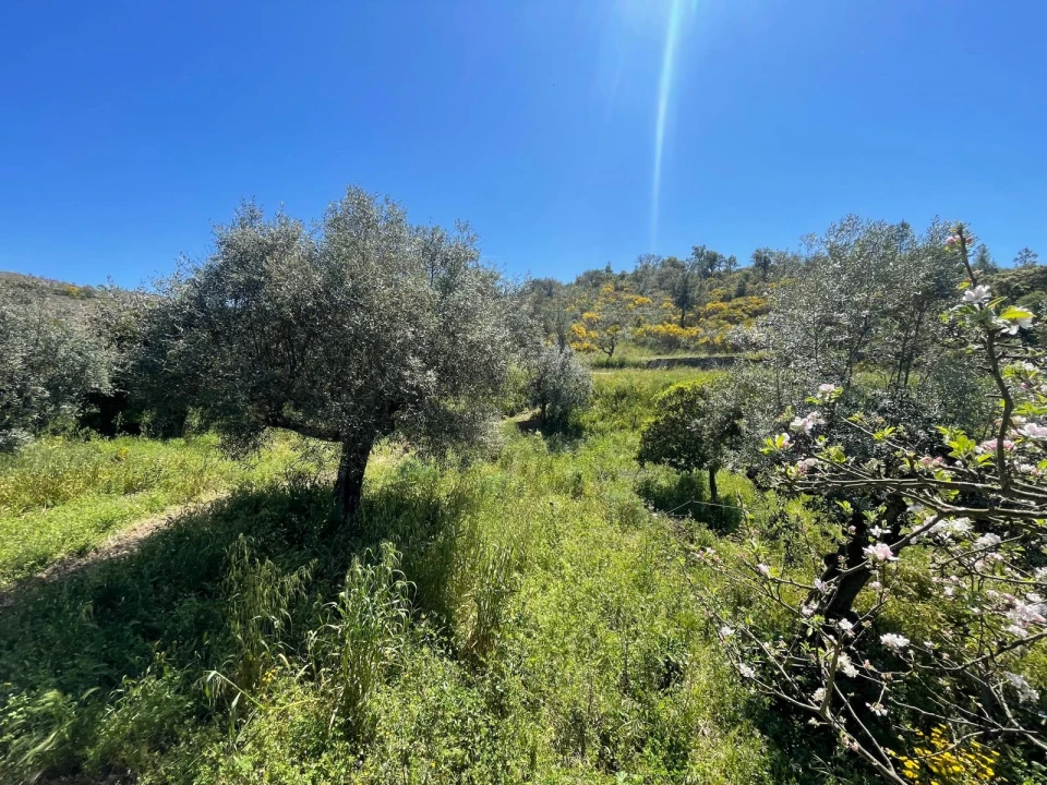 Moradia T3 para Venda em Vila Velha de Rodão Foto 96
