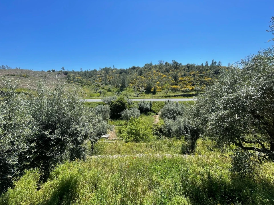 Moradia T3 para Venda em Vila Velha de Rodão Foto 119
