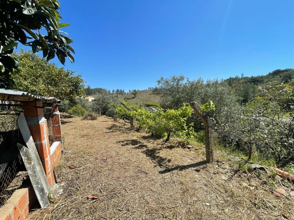 Moradia T3 para Venda em Vila Velha de Rodão Foto 116