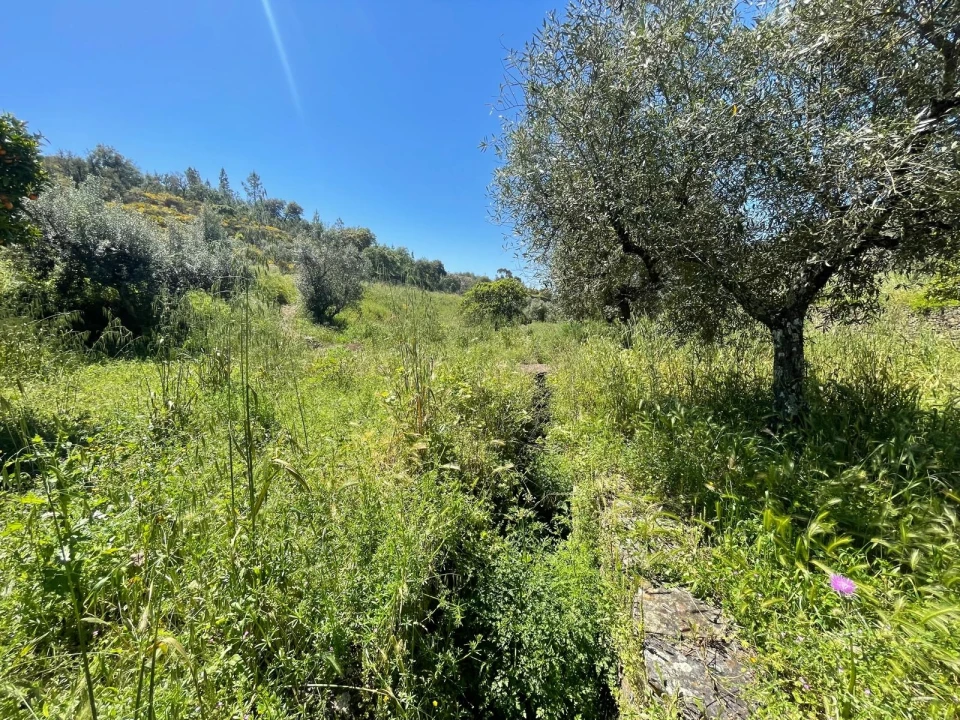 Moradia T3 para Venda em Vila Velha de Rodão Foto 126