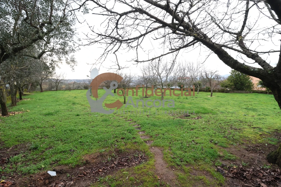 Moradia T3 para Venda em Melo e Nabais Foto 6