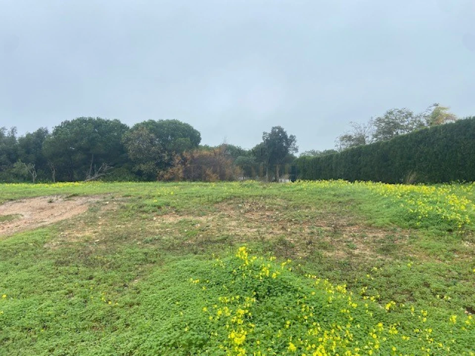 Terreno para Venda em Budens Foto 2