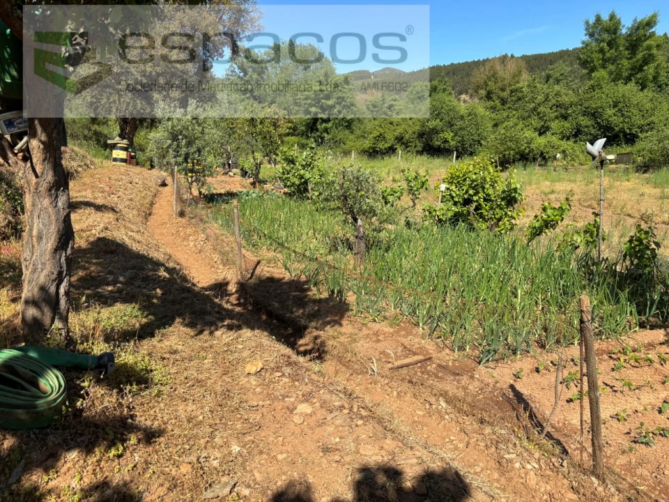 Quinta para Venda em Silvares Foto 9