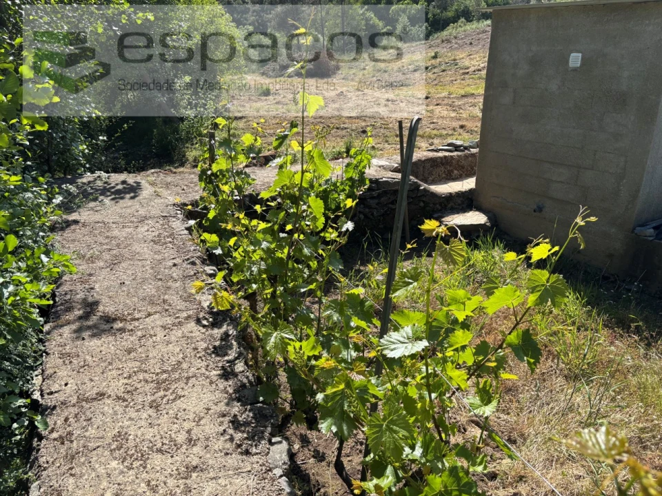 Quinta para Venda em Silvares Foto 22