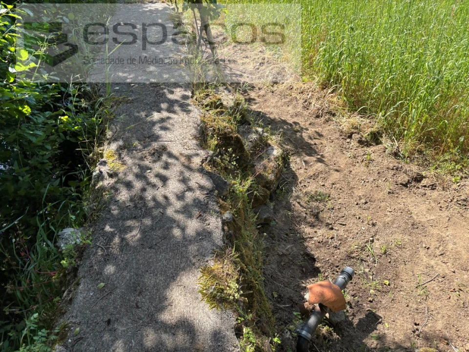 Quinta para Venda em Silvares Foto 24