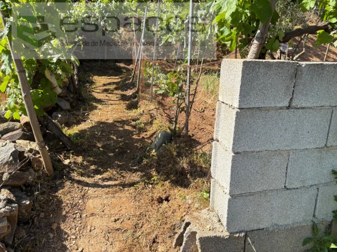 Quinta para Venda em Silvares Foto 16