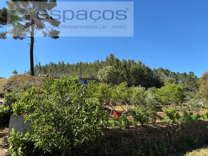 Quinta para Venda em Silvares Foto 17