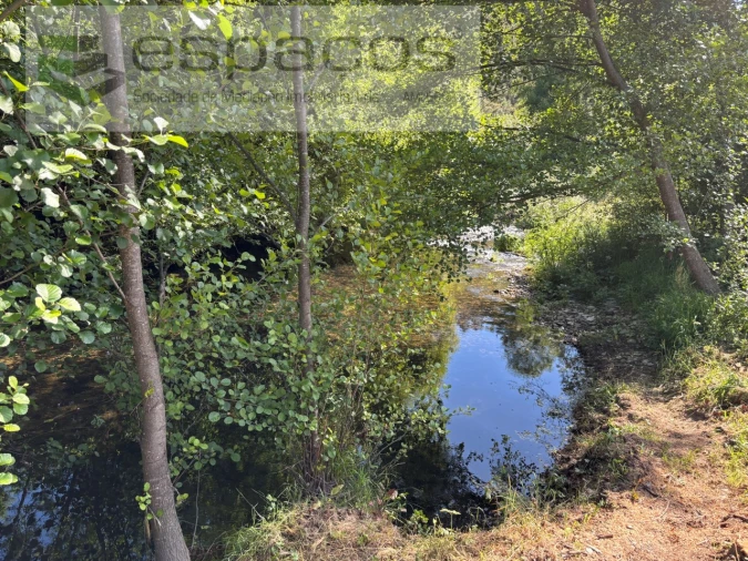 Quinta para Venda em Silvares Foto 18