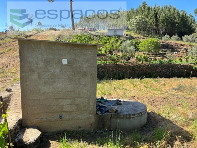 Quinta para Venda em Silvares Foto 20