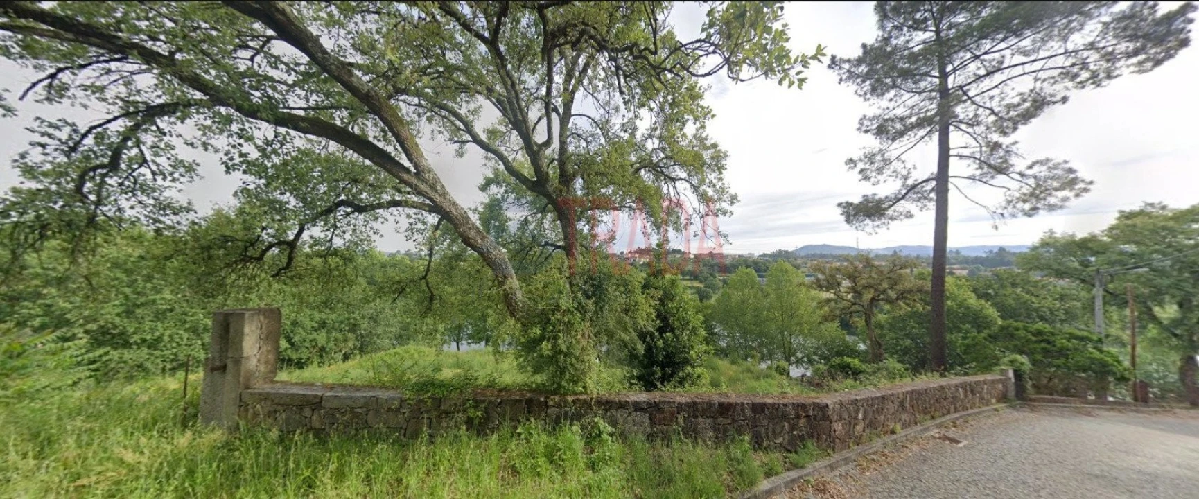 Terreno para Venda em Palmeira Foto 2