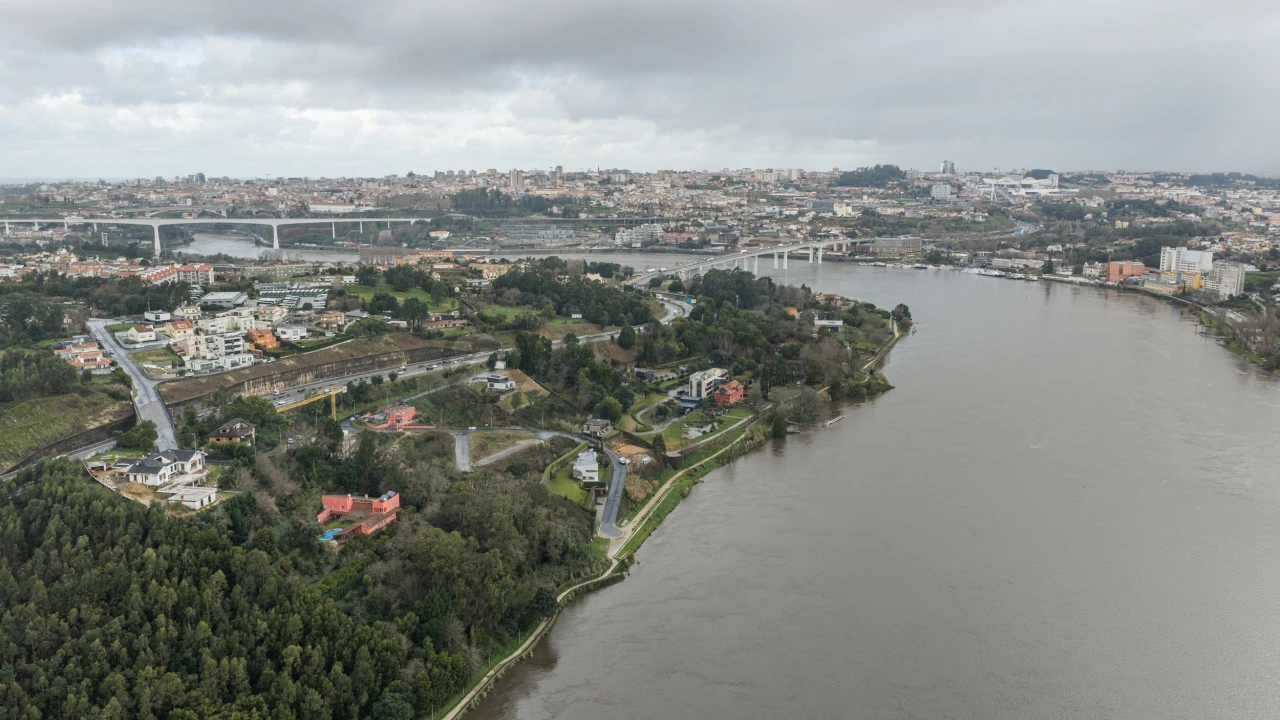 Terreno para Venda em Oliveira do Douro Foto 7