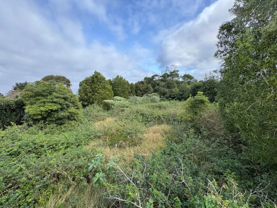 Moradia T6 para Venda em Pico da Pedra Foto 32