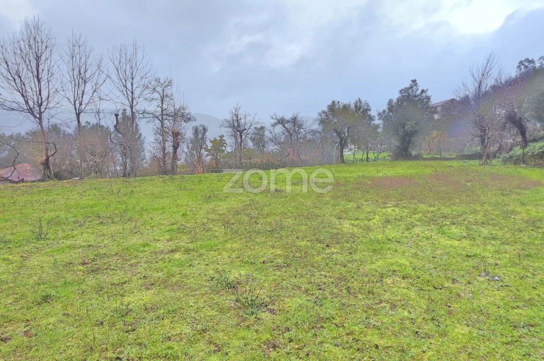 Terreno para Venda em Ribeira do Neiva Foto 5