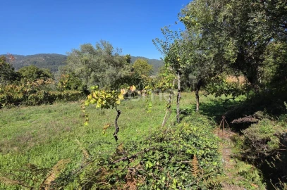 Terreno para Venda em Ribeira do Neiva