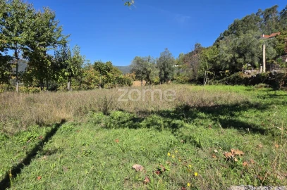 Terreno para Venda em Ribeira do Neiva