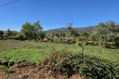 Terreno para Venda em Ribeira do Neiva