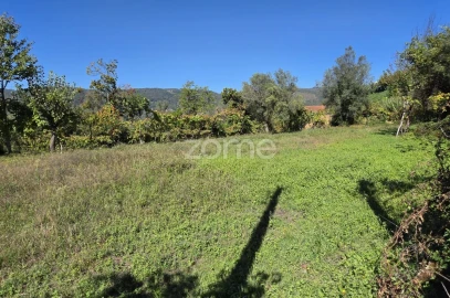 Terreno para Venda em Ribeira do Neiva