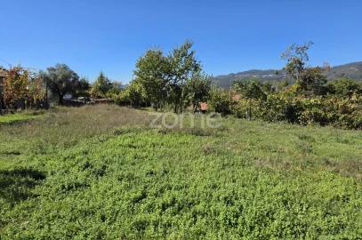 Terreno para Venda em Ribeira do Neiva