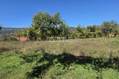 Terreno para Venda em Ribeira do Neiva