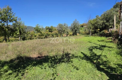 Terreno para Venda em Ribeira do Neiva