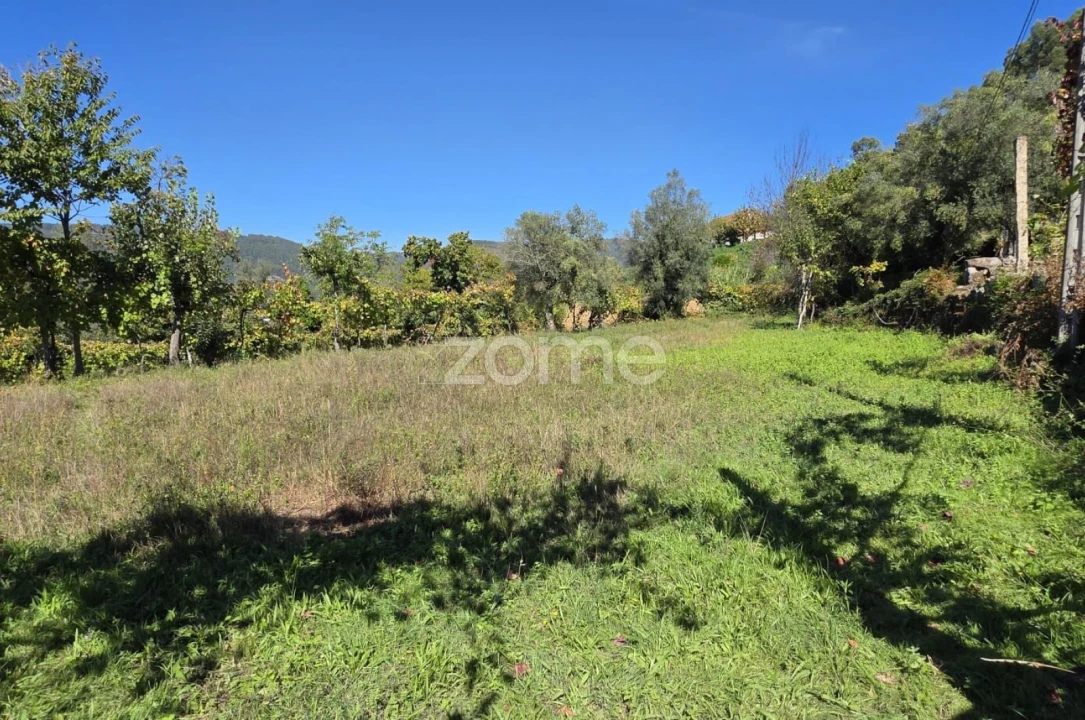 Terreno para Venda em Ribeira do Neiva Foto 8