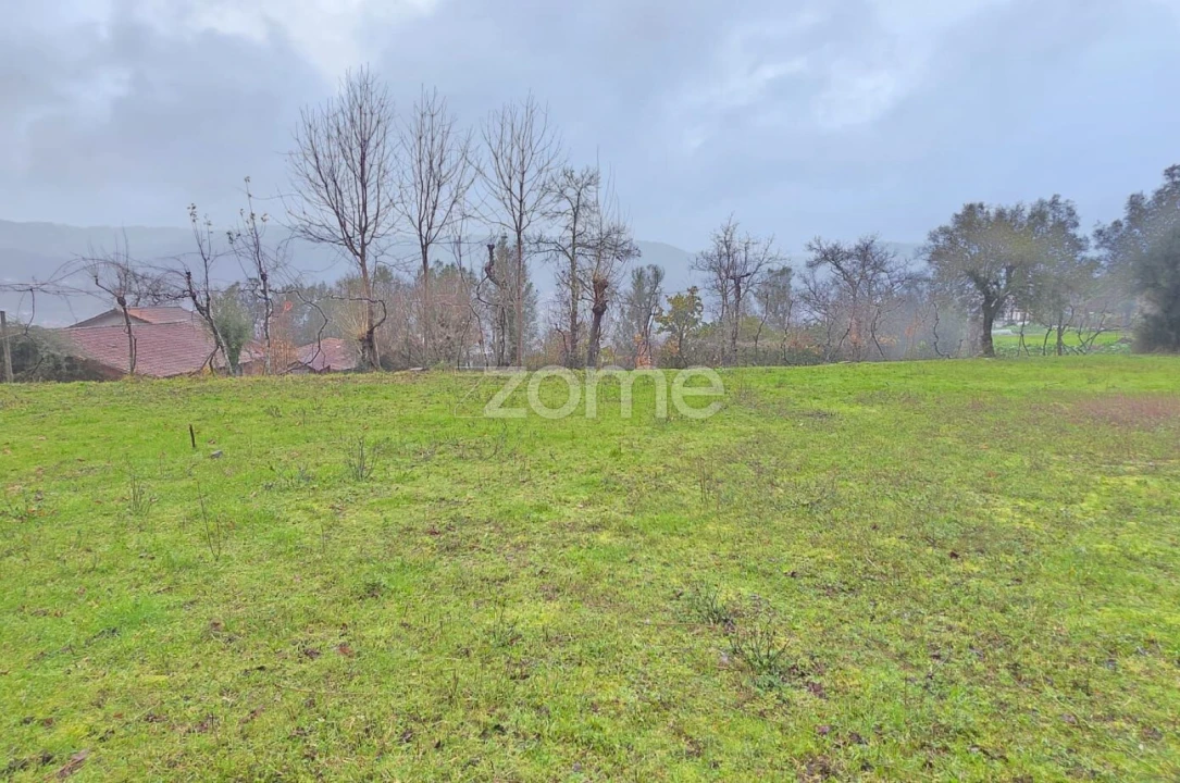 Terreno para Venda em Ribeira do Neiva Foto 8