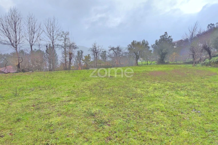 Terreno para Venda em Ribeira do Neiva Foto 5