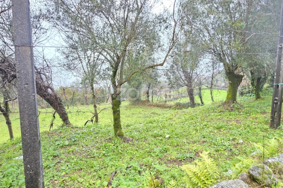 Terreno para Venda em Ribeira do Neiva Foto 9