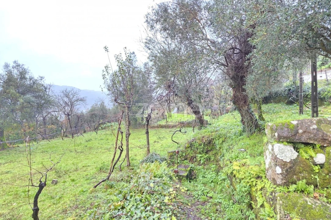 Terreno para Venda em Ribeira do Neiva Foto 6