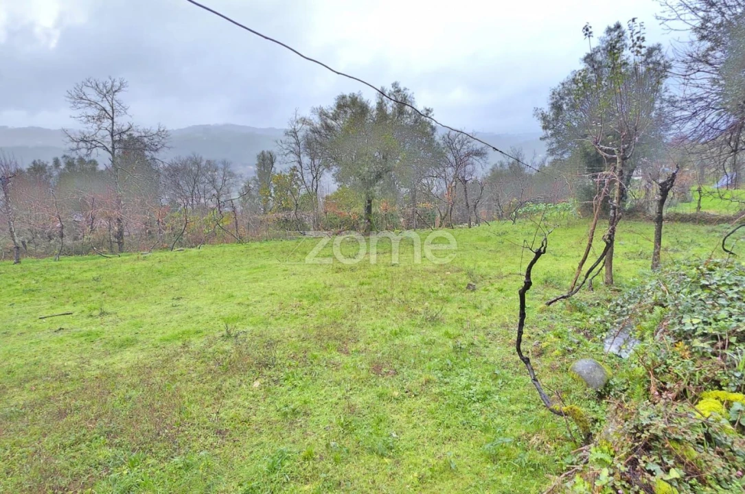 Terreno para Venda em Ribeira do Neiva Foto 10