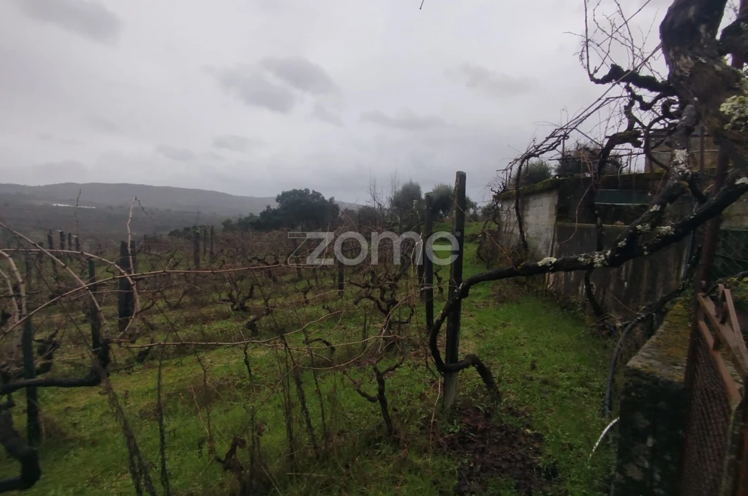 Moradia T5 para Venda em Sobral Pichorro e Fuinhas Foto 47