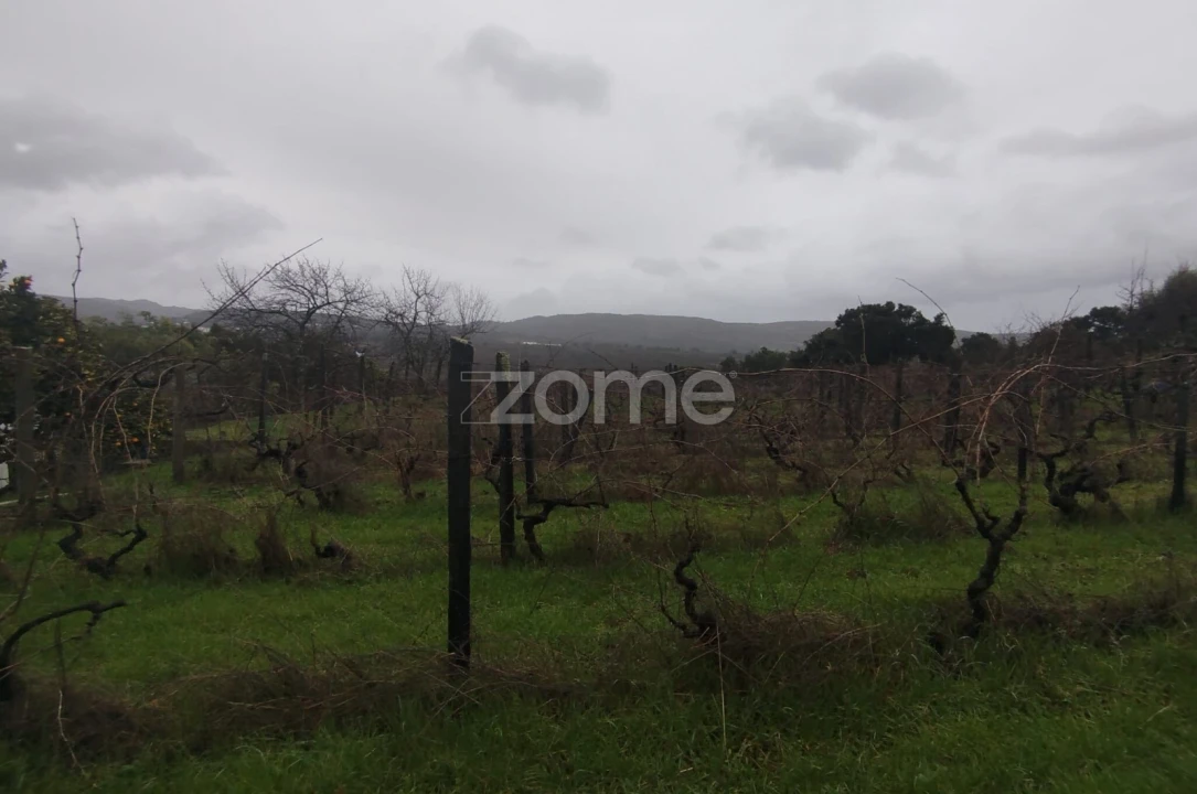 Moradia T5 para Venda em Sobral Pichorro e Fuinhas Foto 52