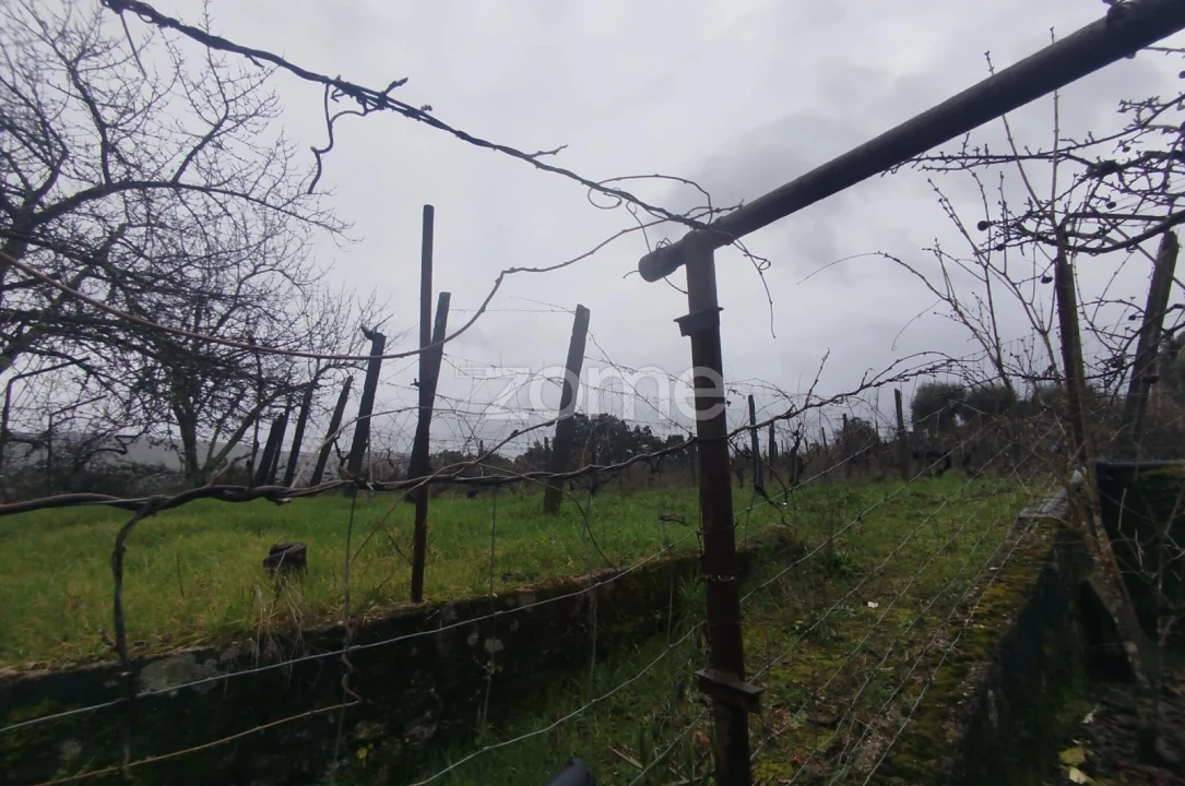 Moradia T5 para Venda em Sobral Pichorro e Fuinhas Foto 55