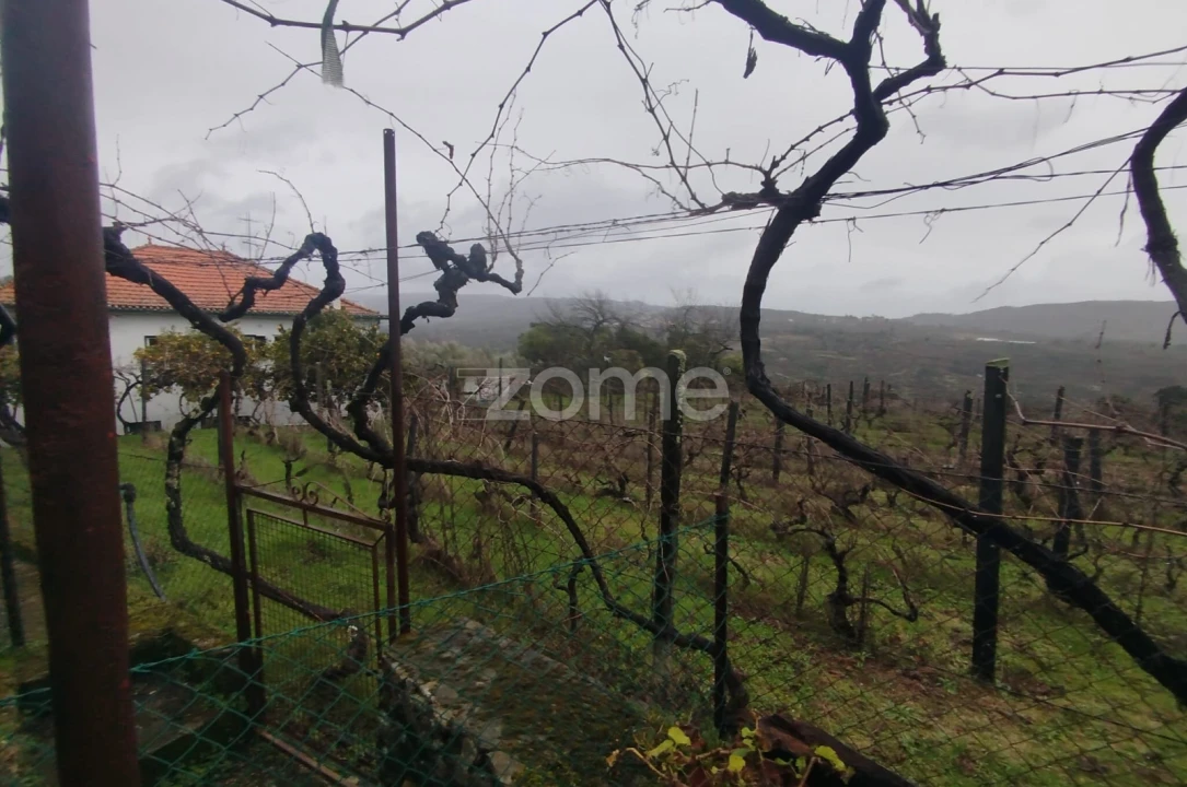 Moradia T5 para Venda em Sobral Pichorro e Fuinhas Foto 38