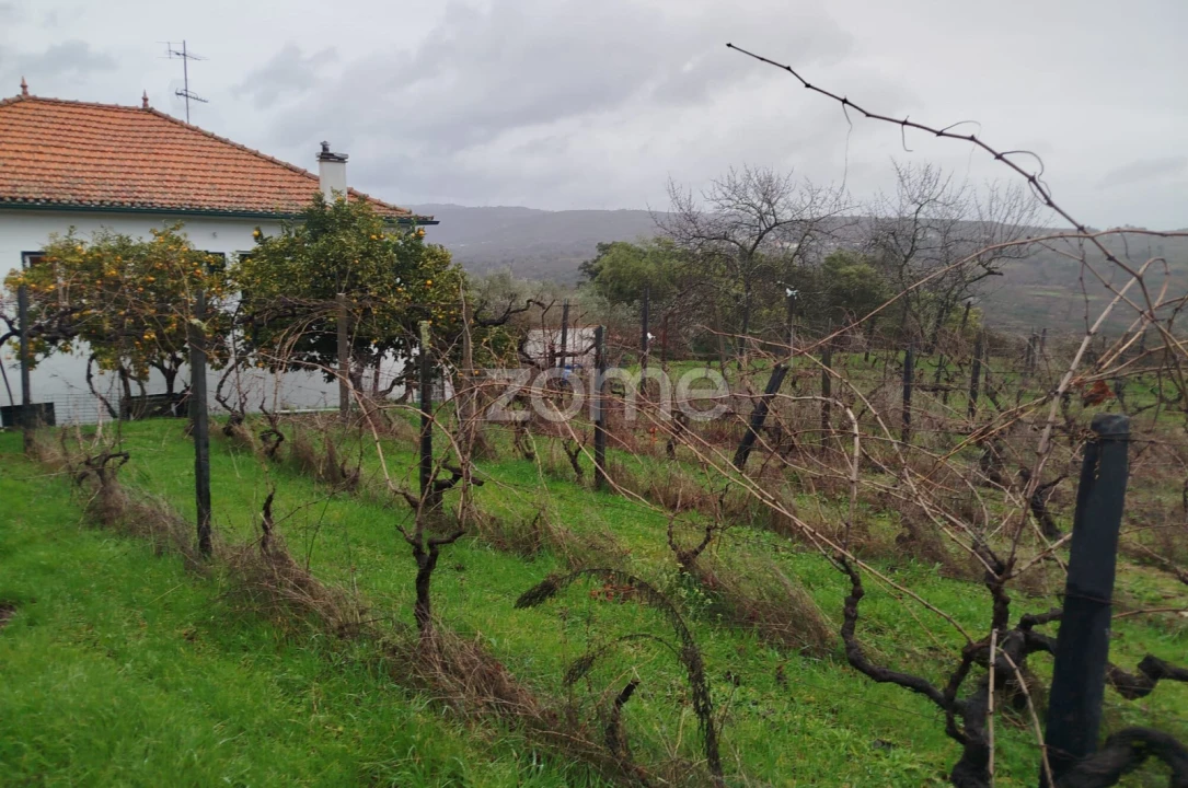 Moradia T5 para Venda em Sobral Pichorro e Fuinhas Foto 43