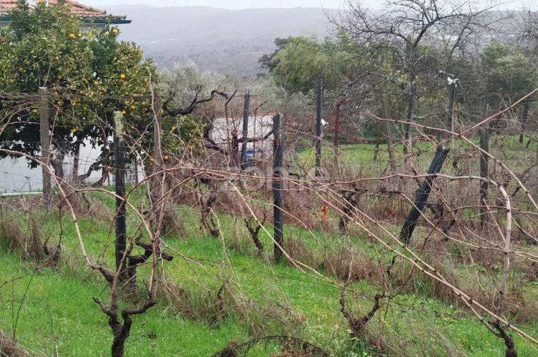 Moradia T5 para Venda em Sobral Pichorro e Fuinhas Foto 42