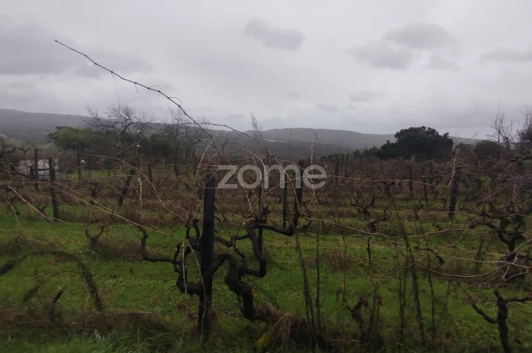 Moradia T5 para Venda em Sobral Pichorro e Fuinhas Foto 45