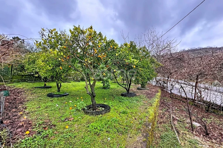 Moradia T5 para Venda em Sobral Pichorro e Fuinhas Foto 21