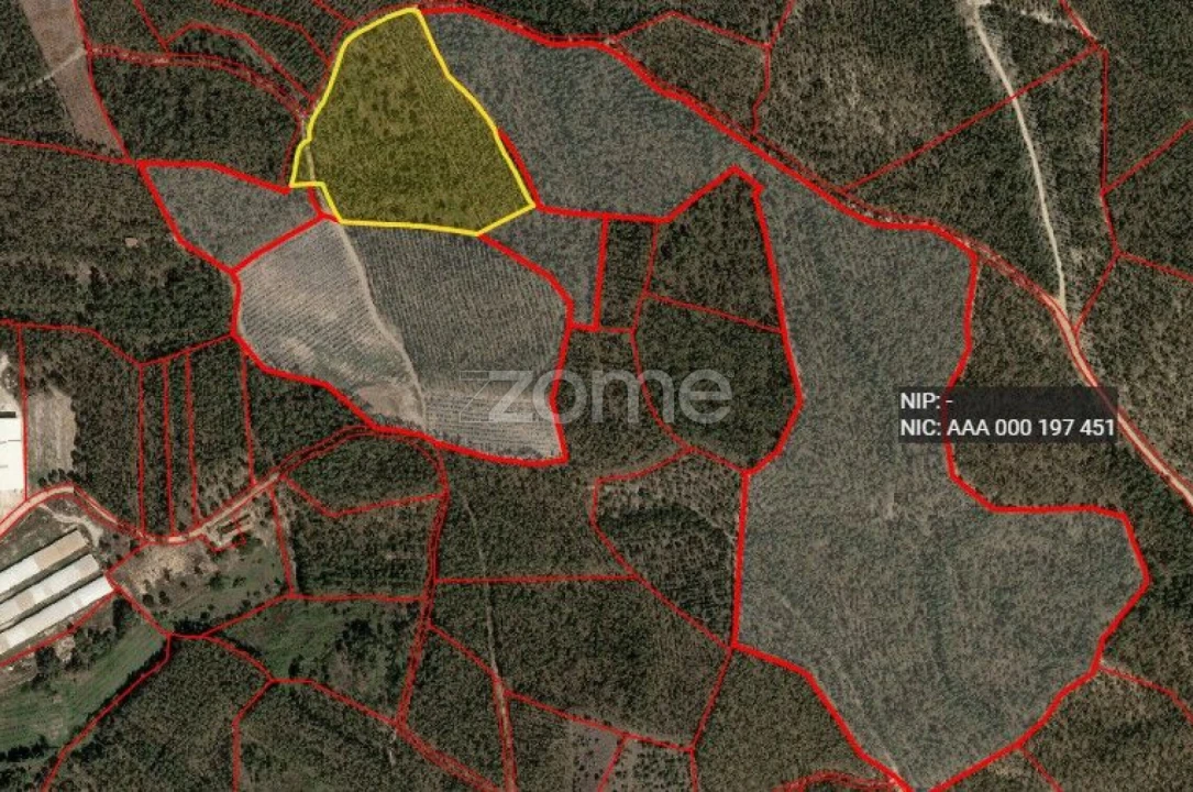 Terreno para Venda em Dois Portos e Runa Foto 12