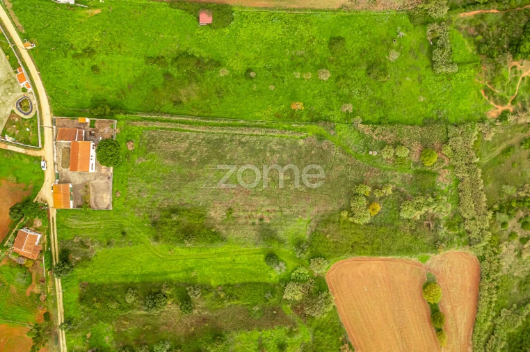 Terreno para Venda em Ventosa Foto 2